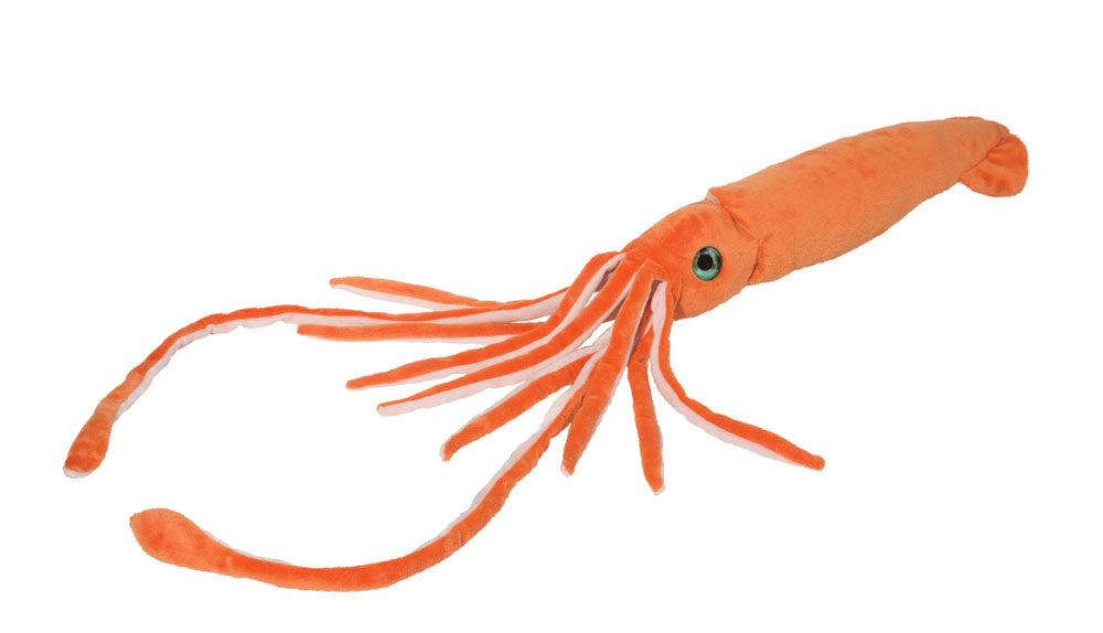 Stretch Squid