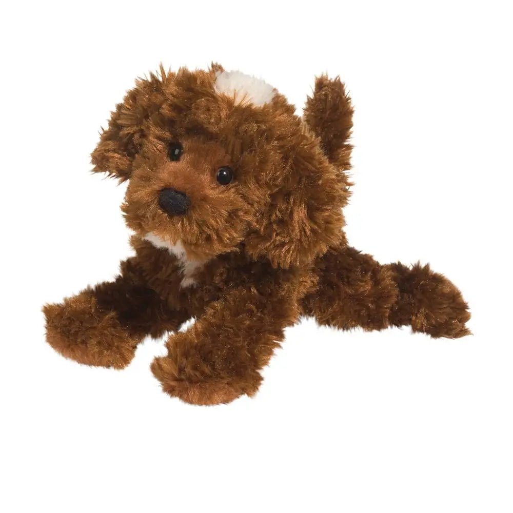 Bosco Chocolate labradoodle