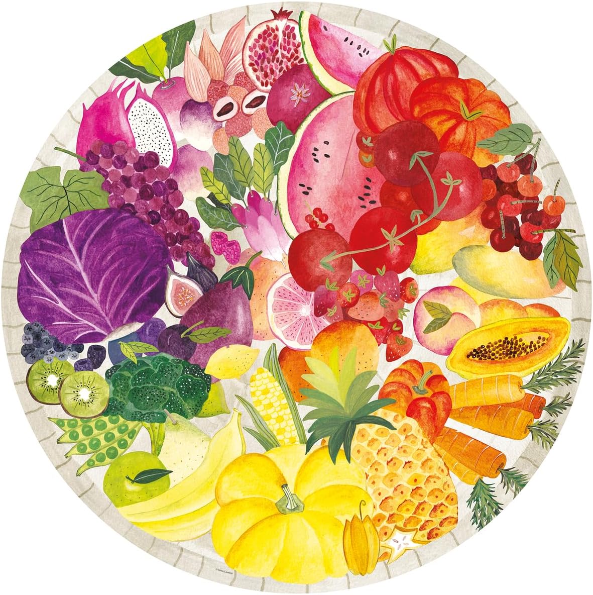 Circle of Color - Fruit 500pc puzzle