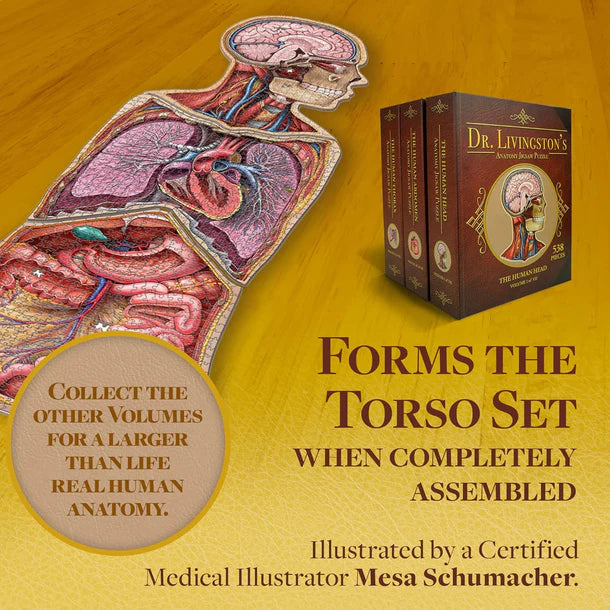 Human Head - Dr. Livingston's Anatomy 441pc Puzzle