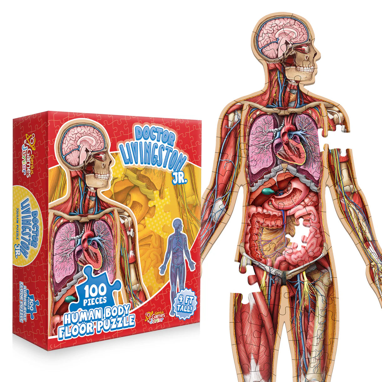 Human Body KIDS Floor Puzzle- Dr. Livingston Jr. Anatomy 100pc Puzzle