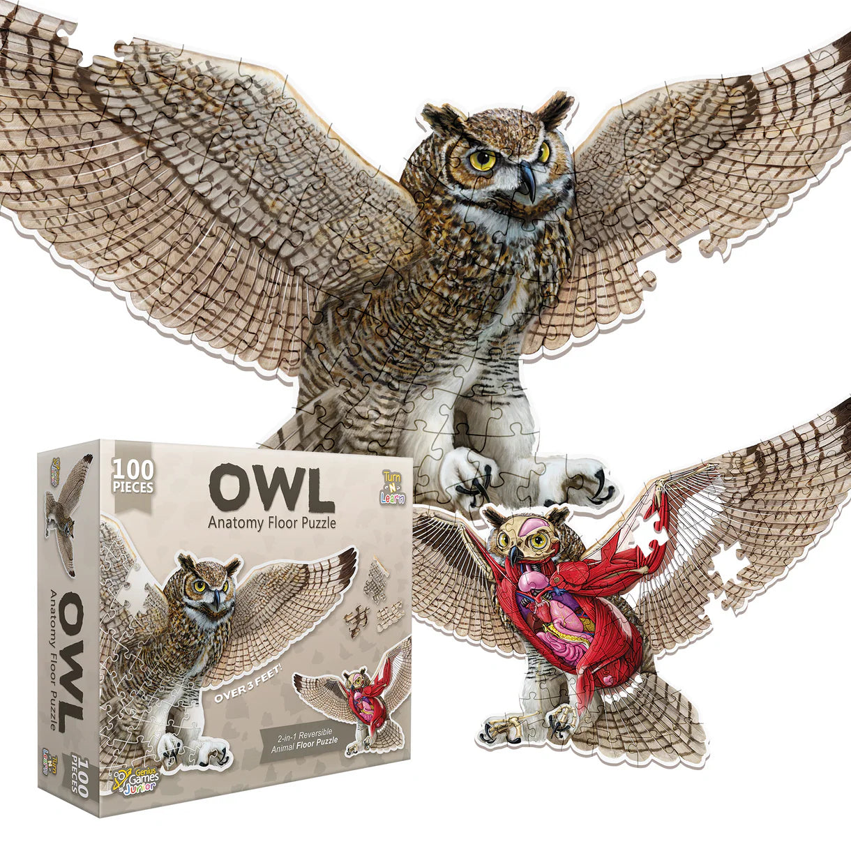 Turn 'N' Learn: Owl 100pc Double-Sided Puzzle