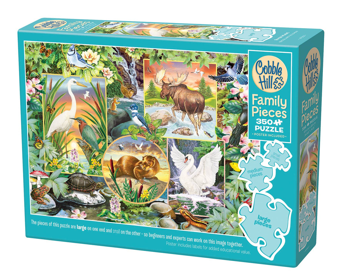 River Magic (Family) 350pc puzzle
