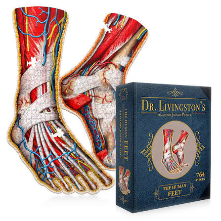 Human Hands - Dr. Livingston's Anatomy 544pc Puzzle