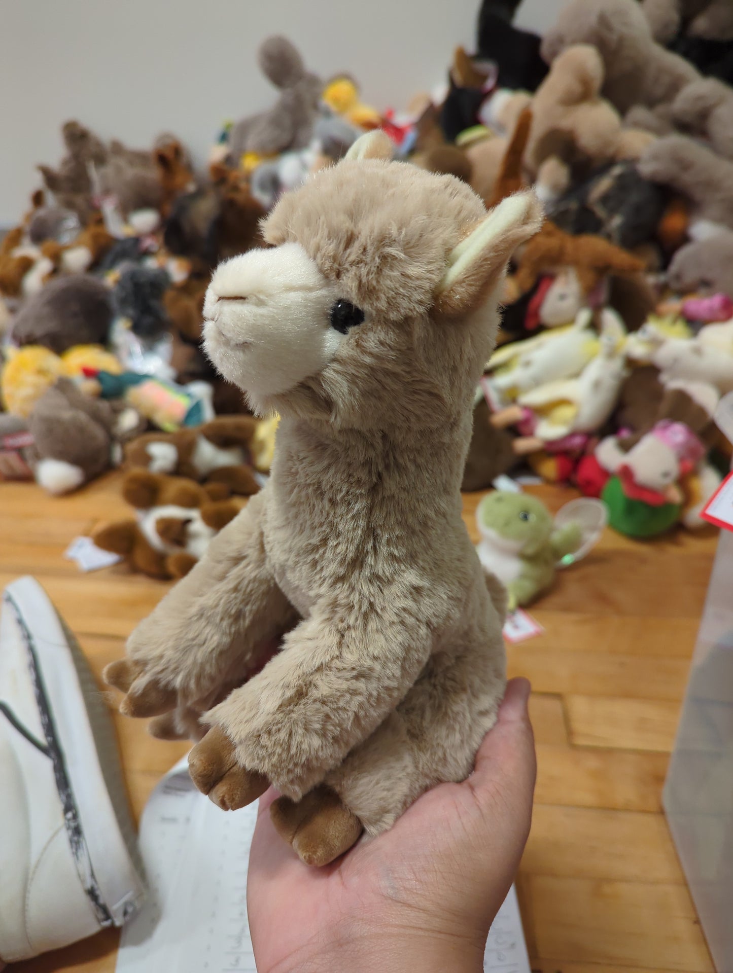 Pete Alpaca
