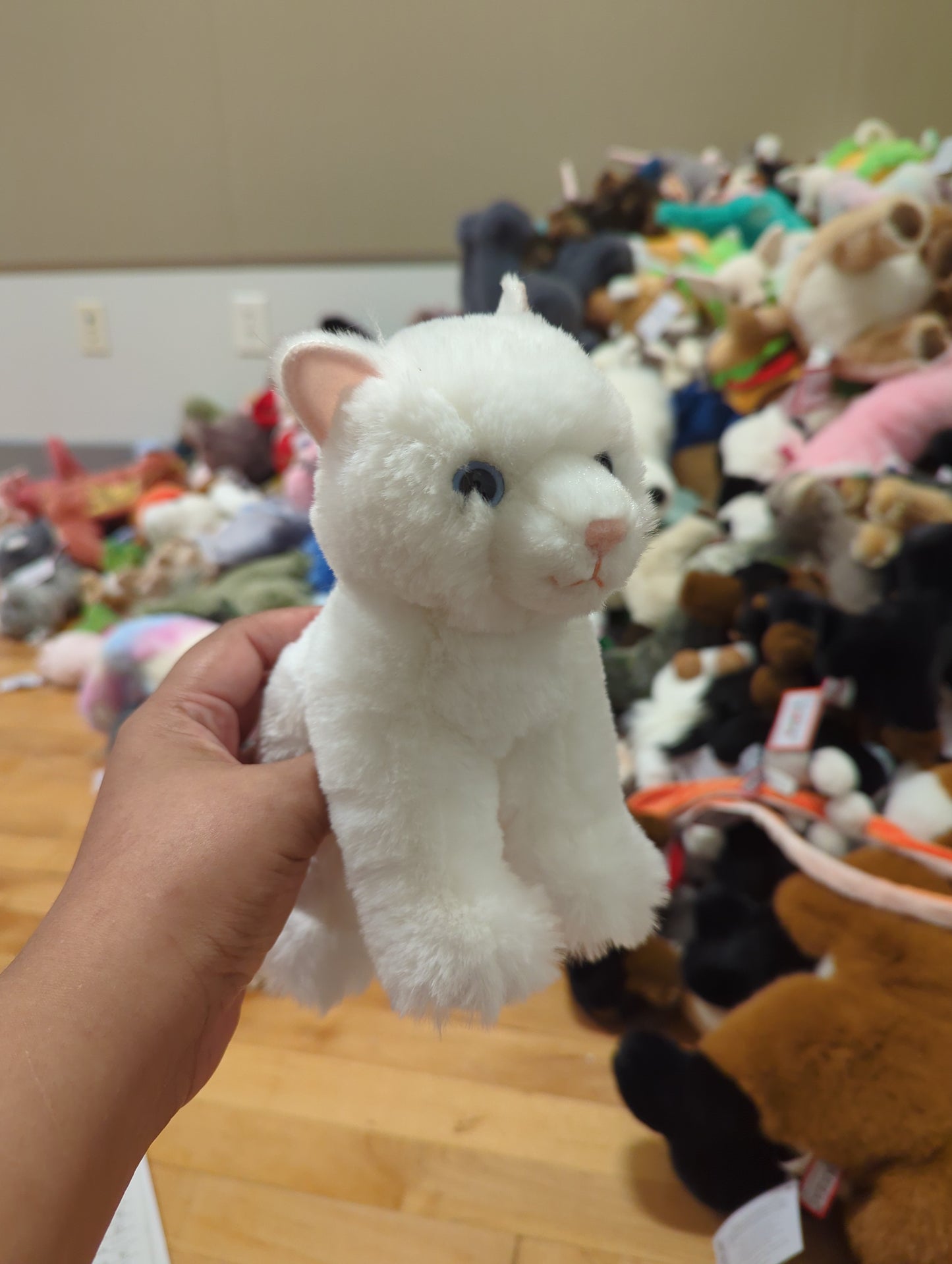 Winnie Cat Mini Soft