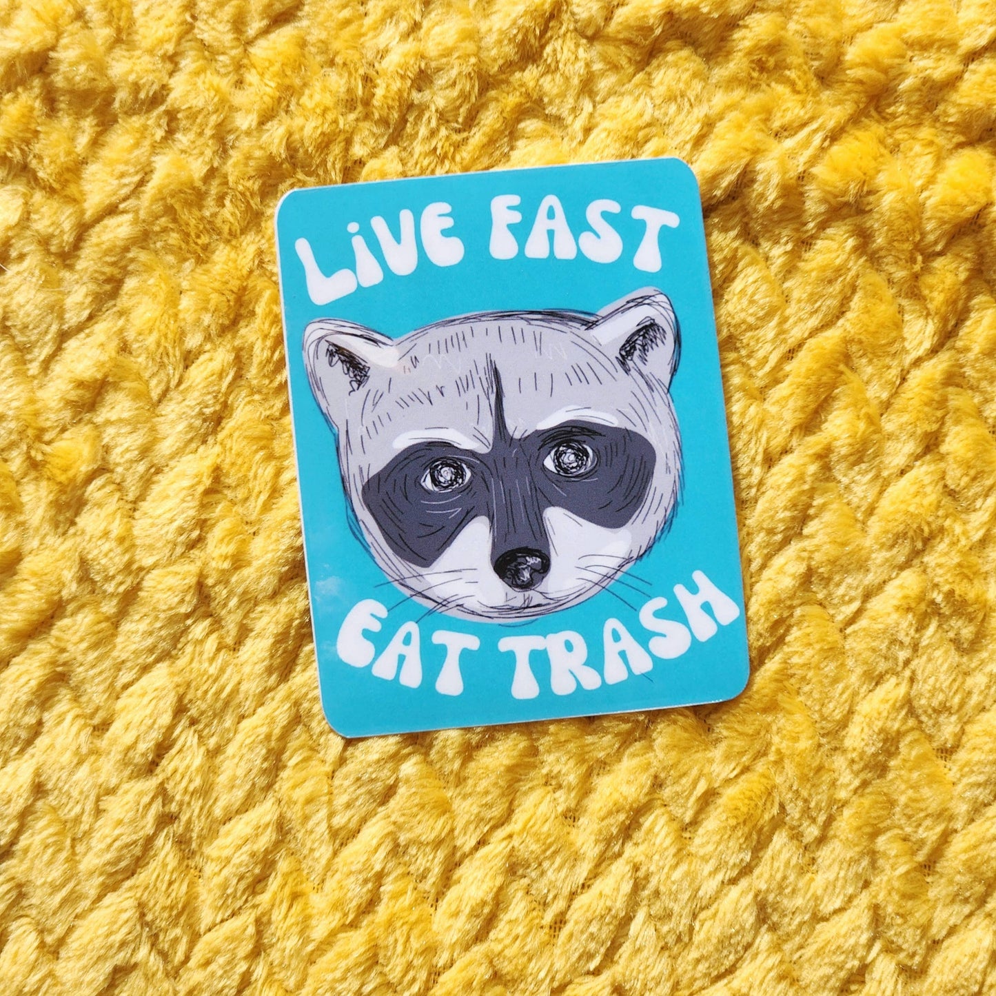 Live Fast eat trash sticker: Black