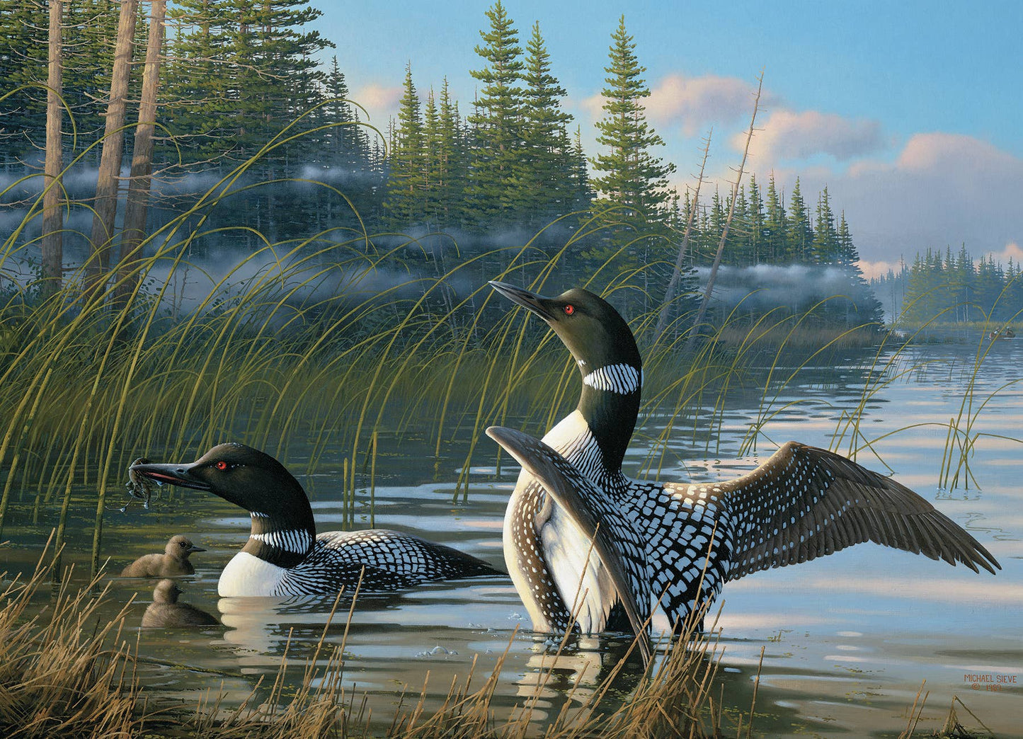 Common Loons 1000pc puzzle
