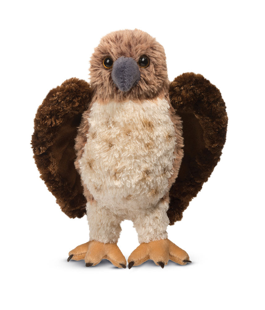 Orion Red-Tailed Hawk