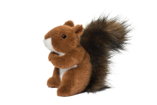 Roadie Red Squirrel