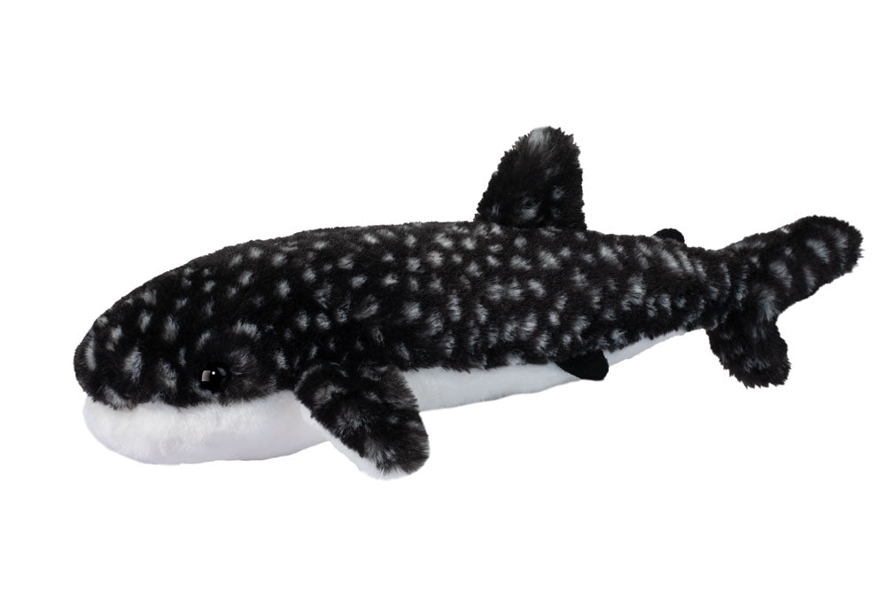 Barnacle Whale Shark