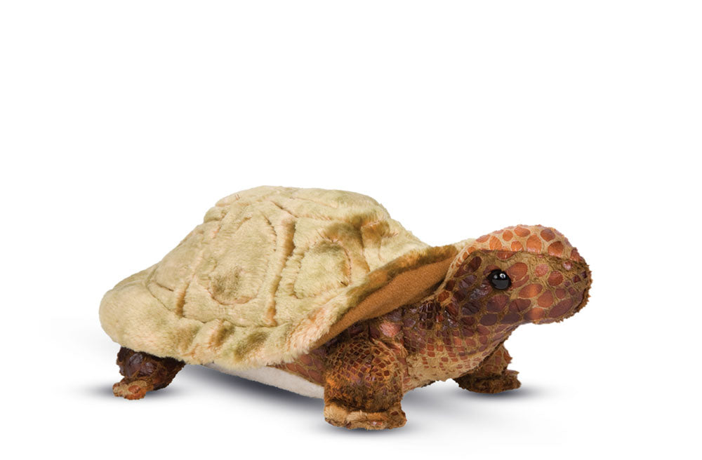 Speedy Tortoise