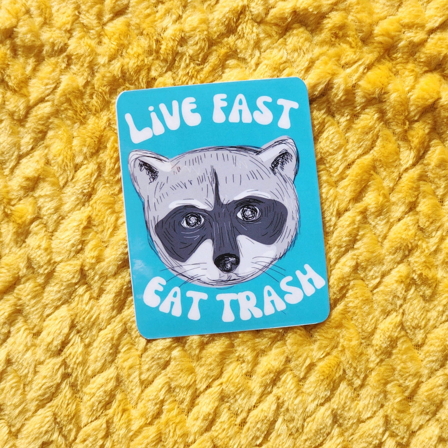 Live Fast eat trash sticker: Black