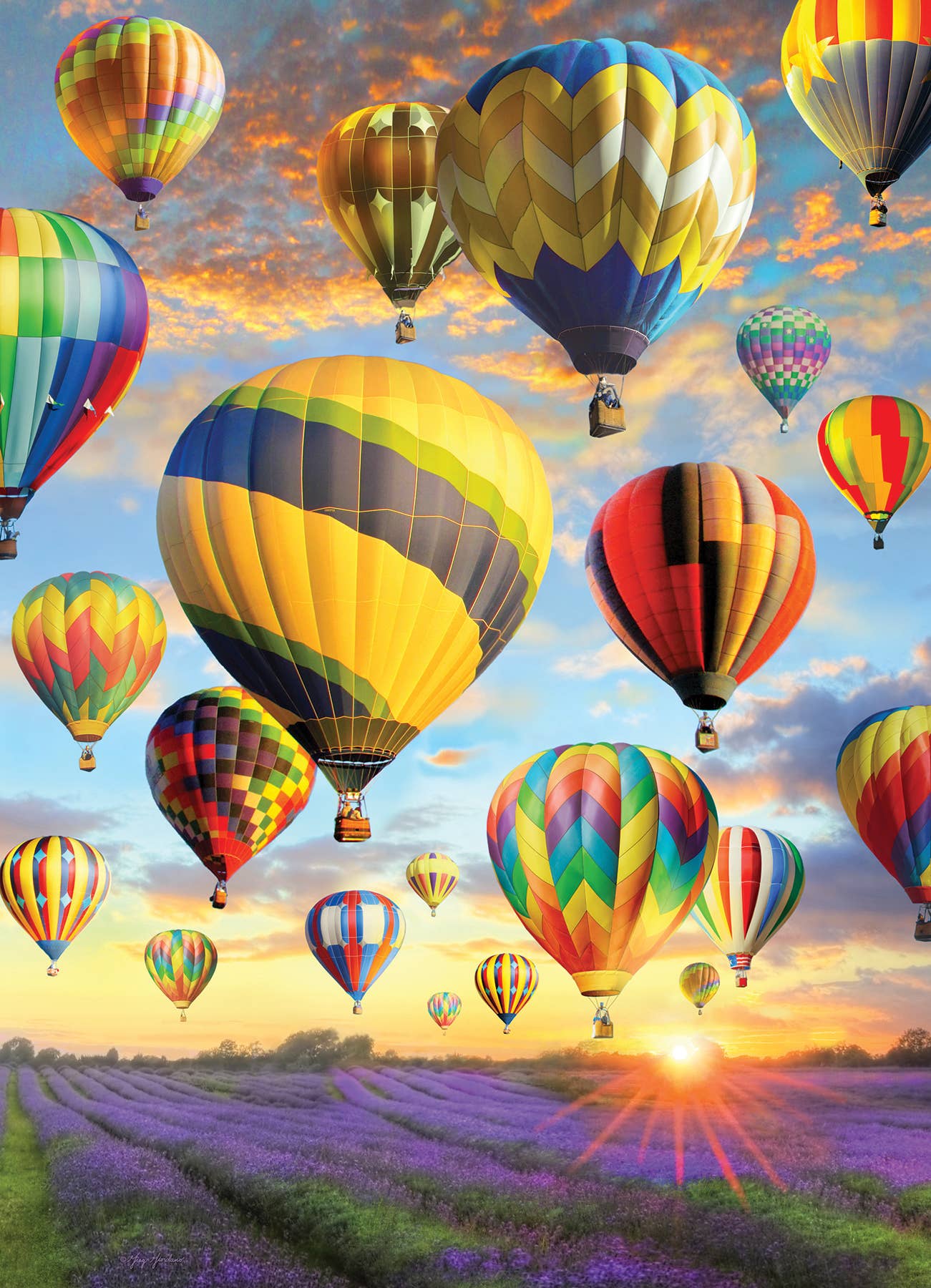 Hot Air Balloons 1000pc puzzle