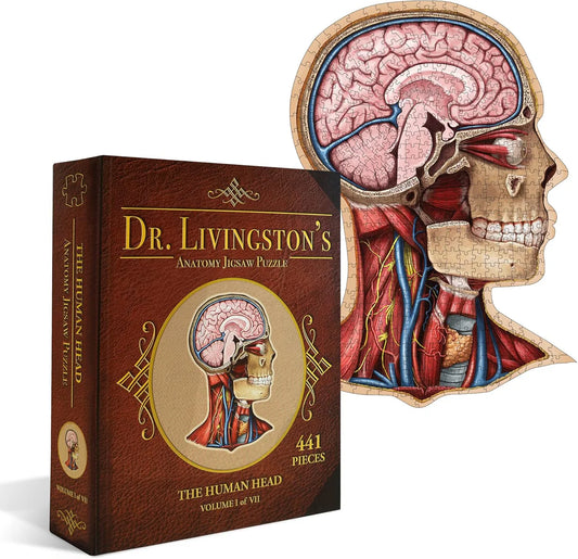 The Human Head - Dr. Livingston's Anatomy 441pc Puzzle