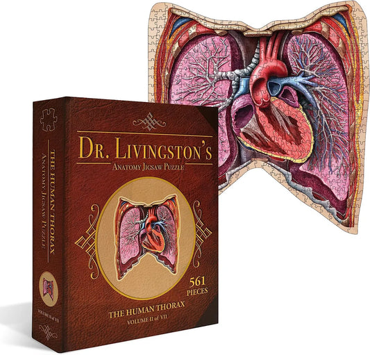 The Human Thorax - Dr. Livingston's Anatomy 561pc Puzzle