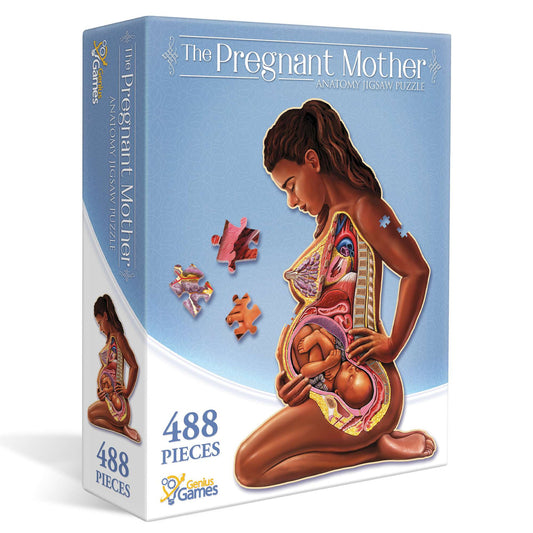 Pregnancy - Dr. Livingston's Anatomy 488pc Puzzle