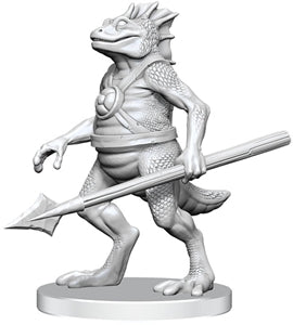 D&D: Nolzur's Marvelous Minis (Unpainted)