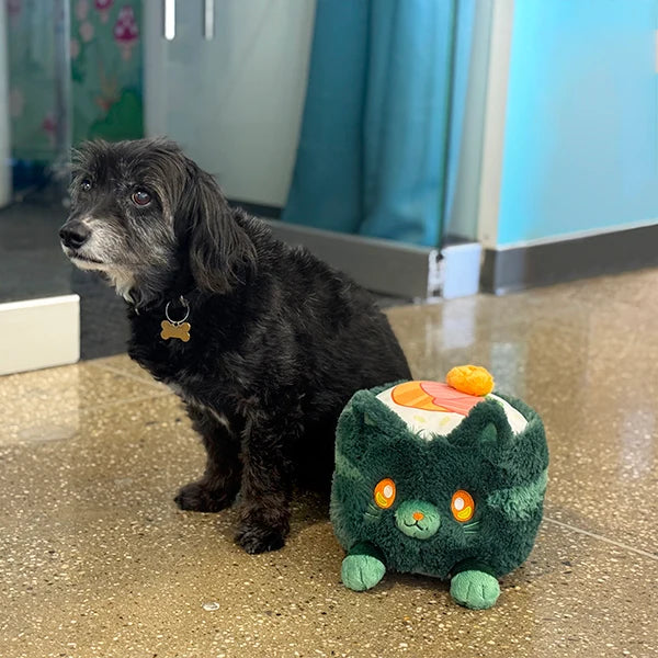 Mini Squishable Nori Cat
