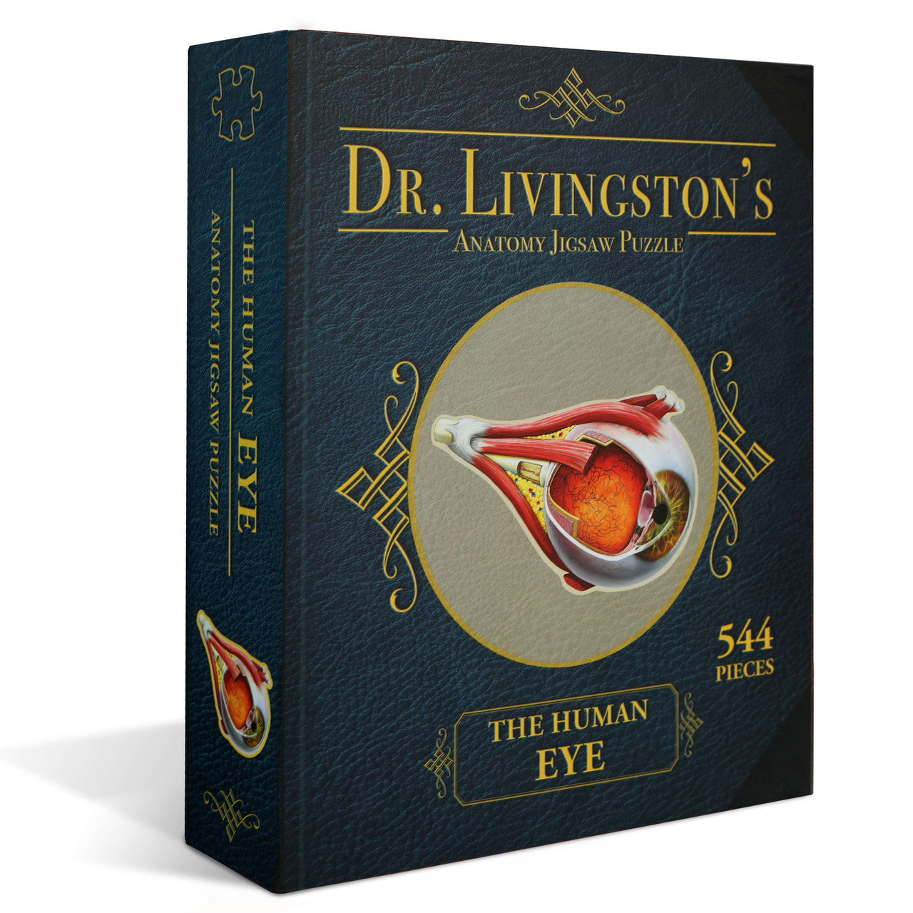 Human Eye - Dr. Livingston's Anatomy 544pc Puzzle