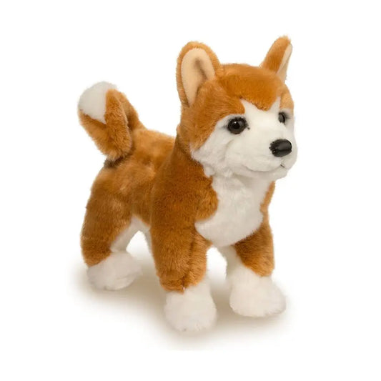 Dunham Shiba Inu (Doge)