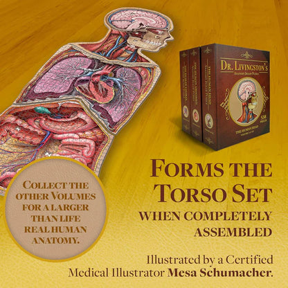 Human Head - Dr. Livingston's Anatomy 441pc Puzzle