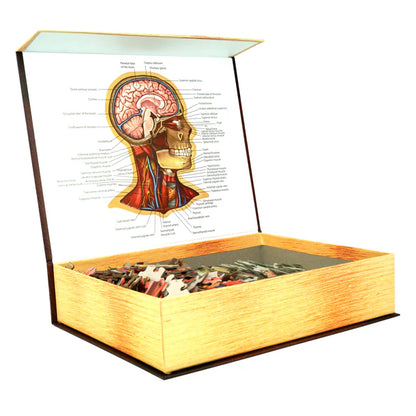 Human Head - Dr. Livingston's Anatomy 441pc Puzzle