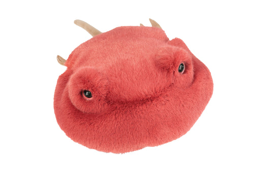 Howie Horseshoe Crab