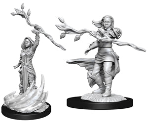 D&D: Nolzur's Marvelous Minis (Unpainted)