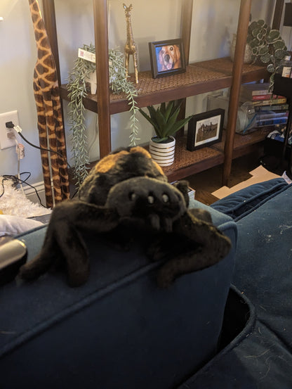 Sneakie Spider - Soft