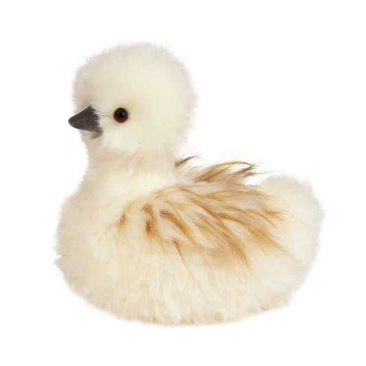 Tara Large Silkie Chick