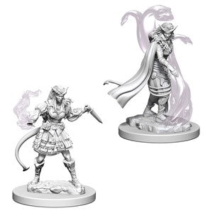 D&D: Nolzur's Marvelous Minis (Unpainted)