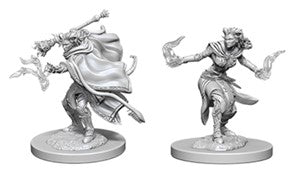 D&D: Nolzur's Marvelous Minis (Unpainted)