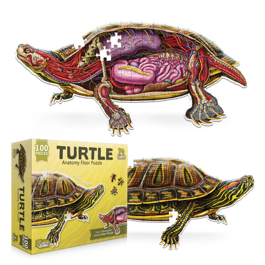 Turn 'N' Learn: Turtle 100pc Double-Sided Puzzle