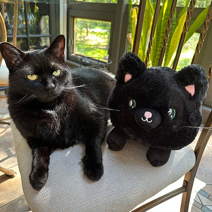 Mini Black Kitty