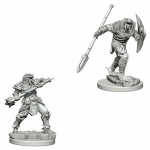 D&D: Nolzur's Marvelous Minis (Unpainted)
