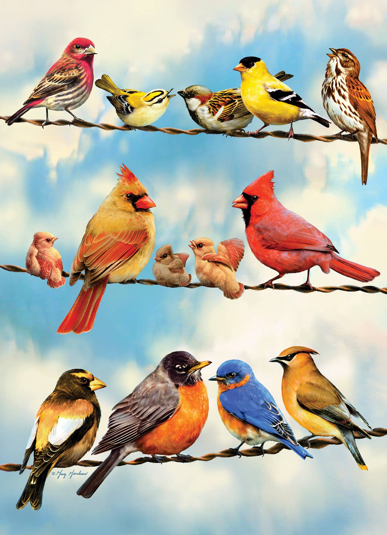 Blue Sky Birds (tray) 35pc puzzle