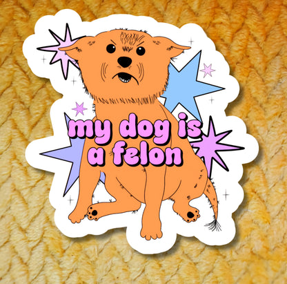 My dog is a felon sinner and bully sticker