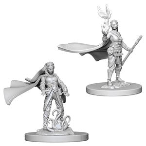 D&D: Nolzur's Marvelous Minis (Unpainted)