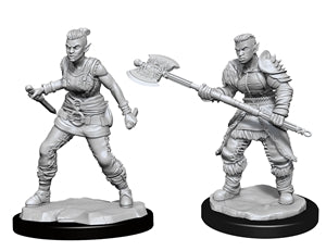D&D: Nolzur's Marvelous Minis (Unpainted)