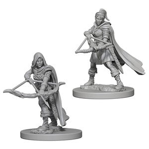 D&D: Nolzur's Marvelous Minis (Unpainted)