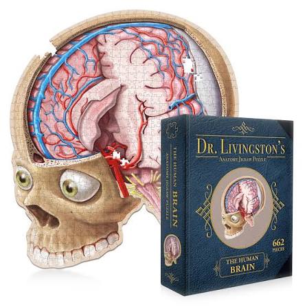 Human Brain - Dr. Livingston's Anatomy 544pc Puzzle