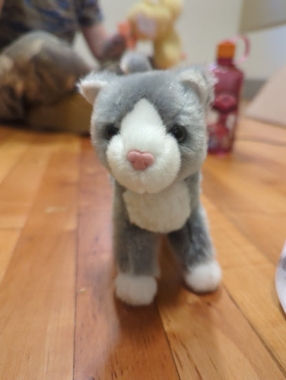 Scatter Gray Cat