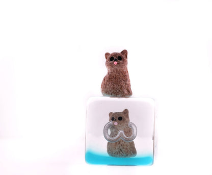 Soft Kitten Dice Set - Resin Inclusion
