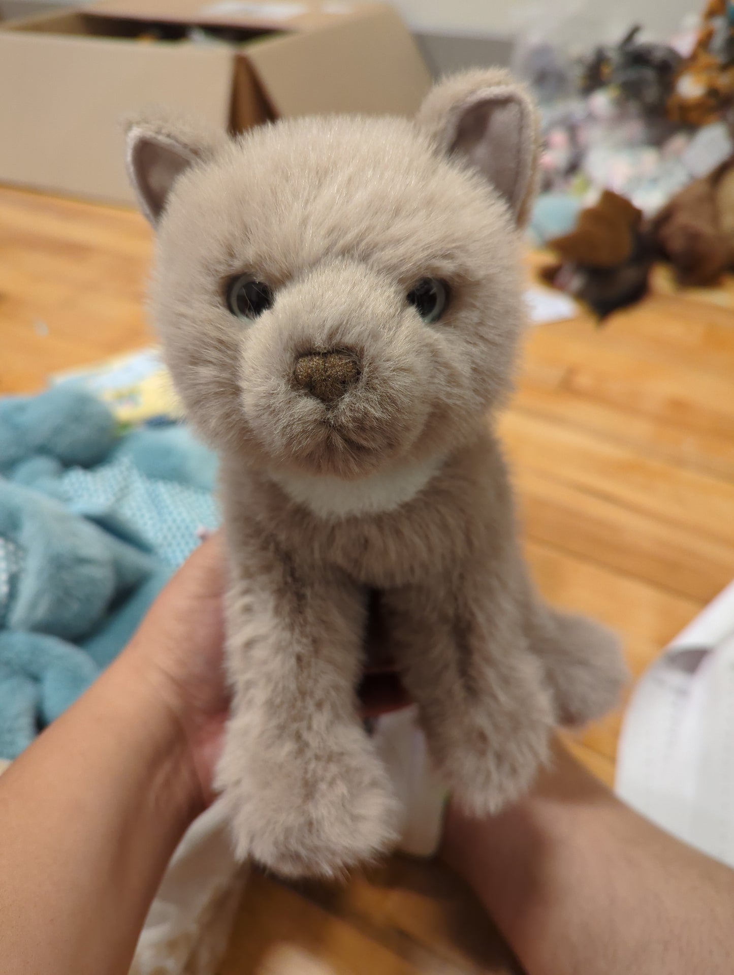 Kneadie Cat Soft