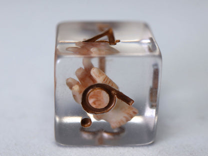 Give Me A Hand Dice Set - Resin Inclusion