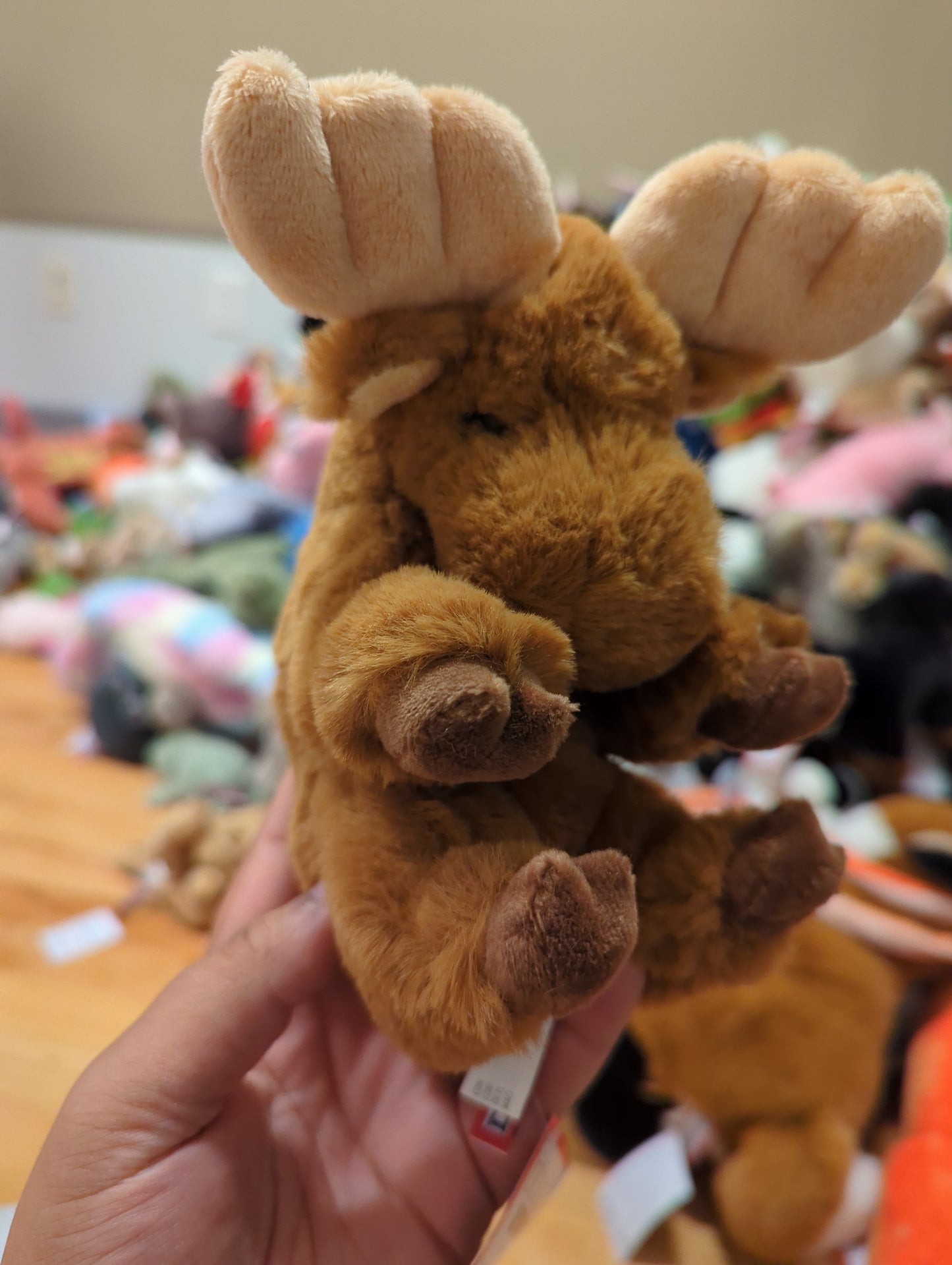 Lil Baby Moose