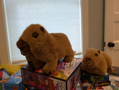 Chattie Capybara Super Soft