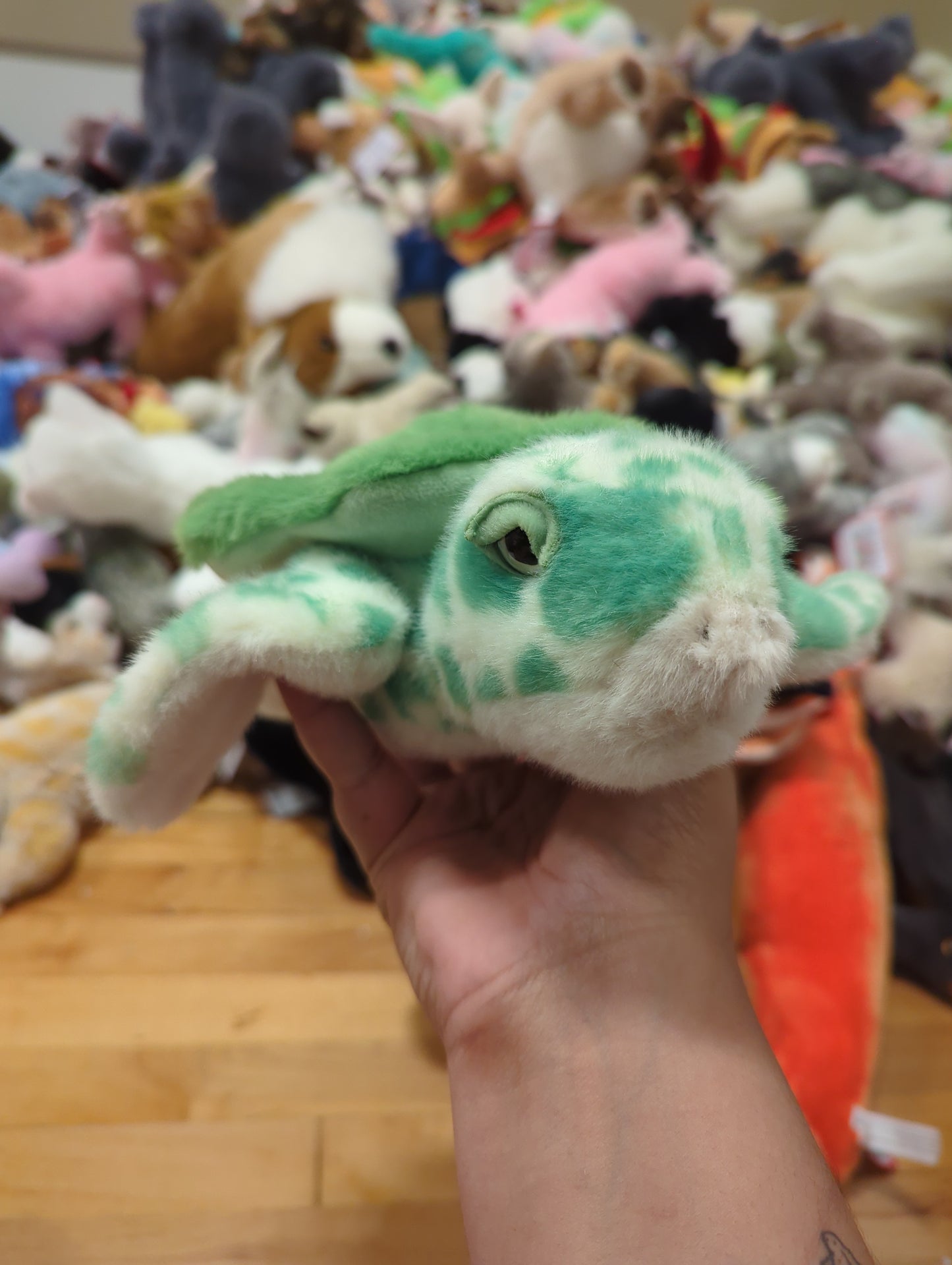 Drift Sea Turtle