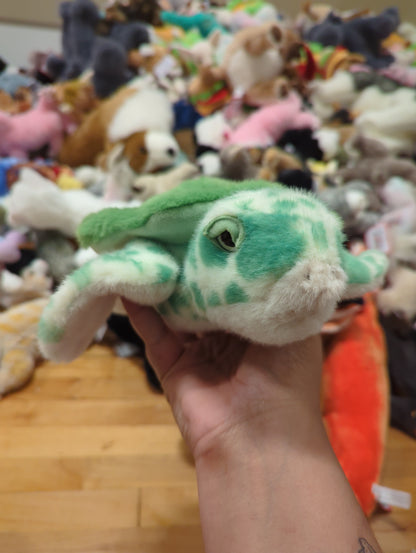Drift Sea Turtle